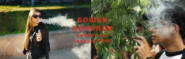 сатива Аркадак