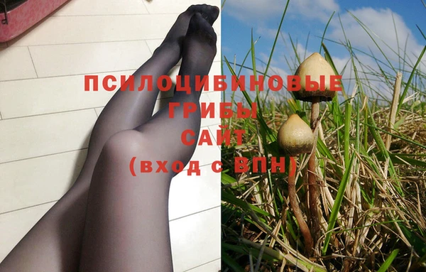 соль ск Армянск