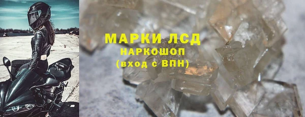 сатива Аркадак