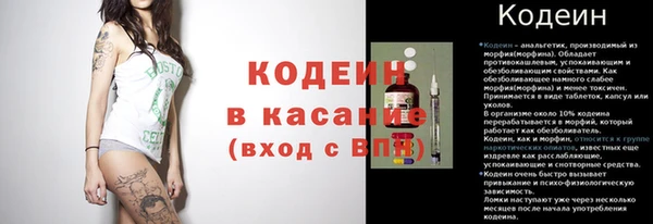 сатива Аркадак