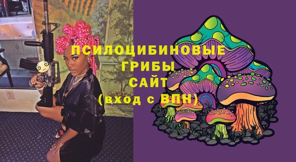 соль ск Армянск