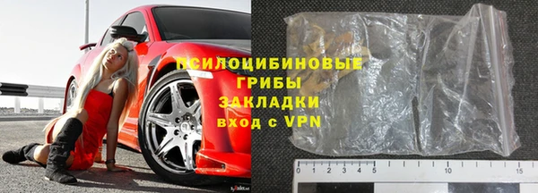 сатива Аркадак