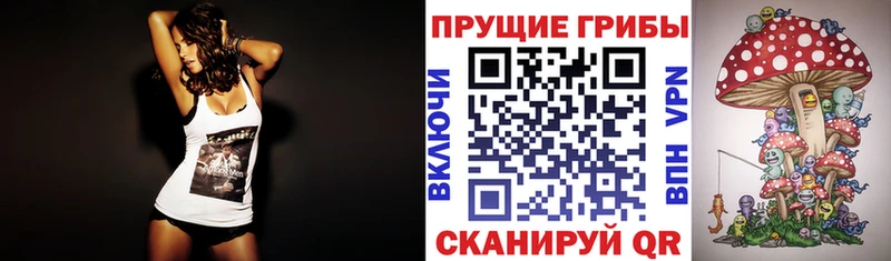 Псилоцибиновые грибы ЛСД  мориарти как зайти  Сычёвка  купить наркотик 